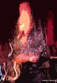 22 Birdland Big Band  Sax Player