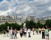 11 Tuilleries Ferris Wheel