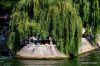 4 Seine Promontory
