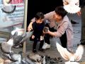 28 Grandmother Teaching Granddaugher About Pigeons