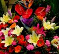 36 Floral Display
