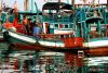 8 Fishing Boats in Port