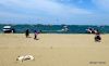 10 Beach at Pataya