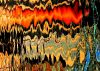 19 DSC08711