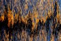 21  DSC01059