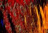 22  DSC01068CR1 13x19h