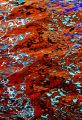 24 DSC01074
