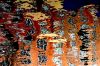 4 DSC08368