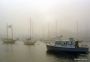 Falmouth Harbor Mist  Cape Cod  MA