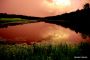 Pond Near Black Lake  Sullivan County  NY