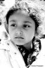 10 P3121628bw