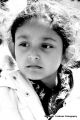 10 P3121628bw