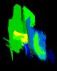 10 DSC05705.WCJcr2 r