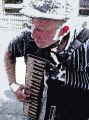 CS 015 Accordion Player