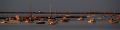 Provincetown Harbor 2