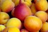 FF 003 Peaches