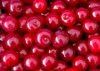 FF 004 Cherries