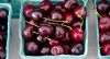 FF 006 Cherries