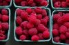 FF 007 Raspberries