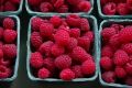 FF 007 Raspberries