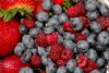FF 008 Berries