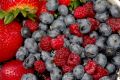 FF 008 Berries