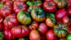 FF 013 Tomatos