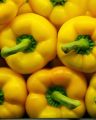 FF 015 Peppers