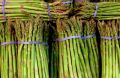 FF 017 Asparagus