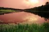 Landscape 004