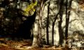 Landscape 008