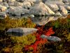 Landscape 013