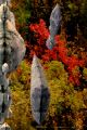 Landscape 014