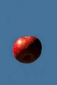 1 Apple in the Air J