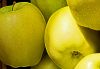 2 Apples Abstract 1