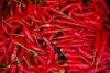 8 Red Peppers  Tel Aviv
