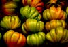 9 Tomatos  Rome