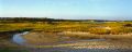 Cape Cod 017