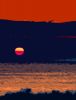 SM Abstract 010 Sunrise