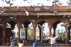 16  Boys Playing Outside Mosque