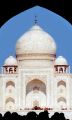 1 Taj Majal NJr