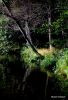 Black Lake Shore
