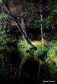 Black Lake Shore