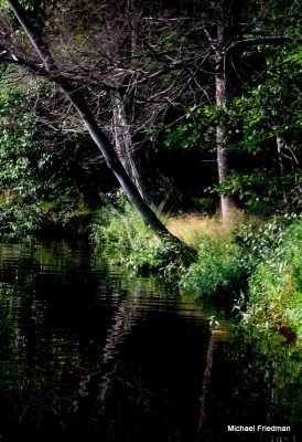 Black Lake Shore