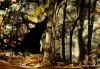 Cave in HSP