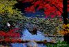 Lake in Autumn HSP
