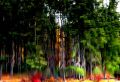 Reflection of Trees 1 HSP